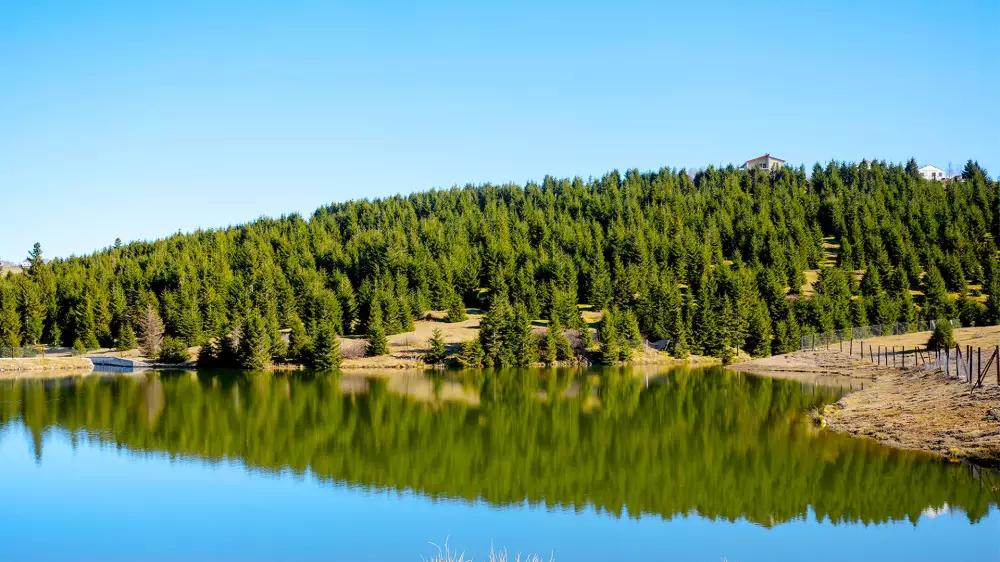 Yeşil Cennet: Trabzon